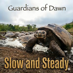 Slow and Steady