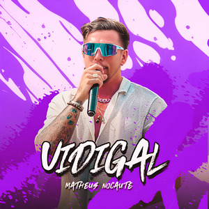 Vidigal
