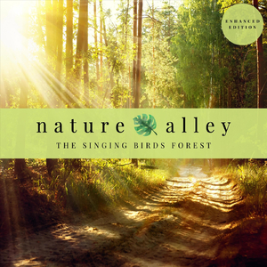 Singing Birds Above Your Head