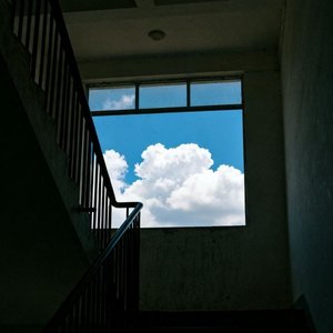 爱与悲剧的宿命