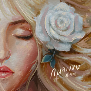 กุหลาบขาว