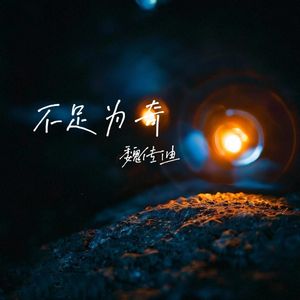 不足为奇