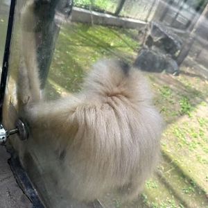 撑不住了 (1).wav