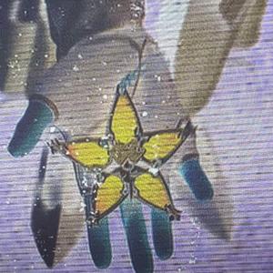 sanctuary. (sextrance mix)