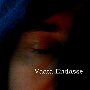 Vaata Endasse