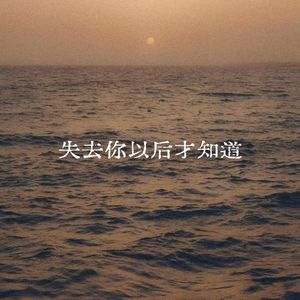 失去你以后才知道