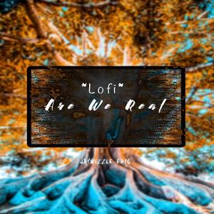Are we Real - Lofi