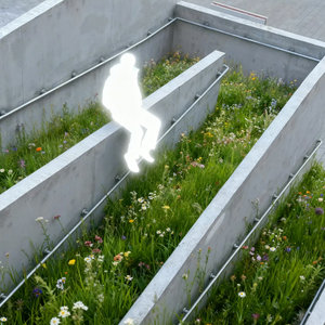 З ранку да ночы