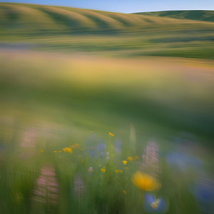 清々しい目覚めのアコースティックギター