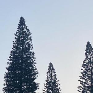 Similar Reasons interlude