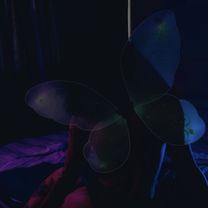 ГРИБНАЯ ФЕЯ