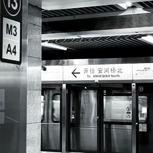 斑马，斑马
