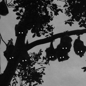 MTG VEM JOGAR A X3R3C4 PRA BANDIDO