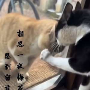 月痕星轨