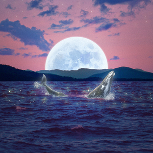 클럽 (Feat. Mone_Kash, 네드(Nedd))