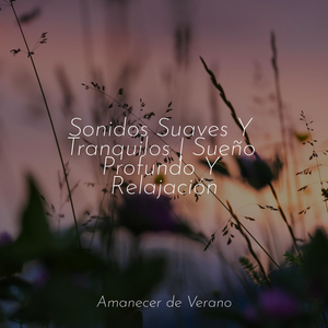 Vals de Terciopelo Ardiente