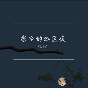 寒冷的郊区夜