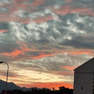 借月+桃花+十年+帝女