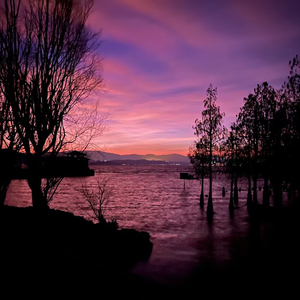 你出现在我的梦境里