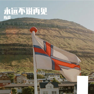 一直陪着你不说再见