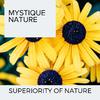 Replenishing Flames 3D Nature Music - Fire Syndrome