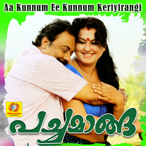 Aa Kunnum Ee Kunnum Keriyirangi