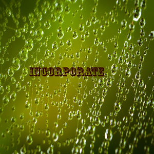 Incorporate