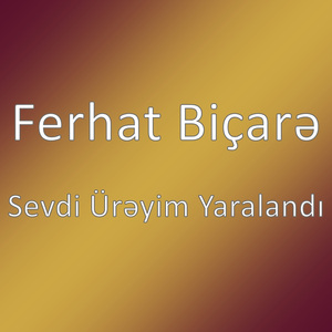 Sevdi Ürəyim Yaralandı