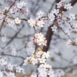 秦淮河边的陈年往事