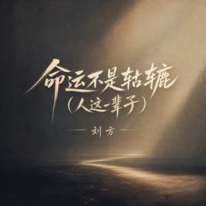 命运不是轱辘(人这一辈子)
