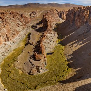 《爱情的经济法则》