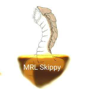 Полувялый Пустынный Червь