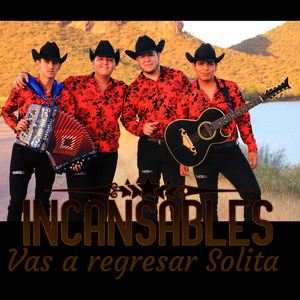 VAS A REGRESAR SOLITA