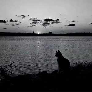 18 Til I Die(Prod. Young Godzilla)