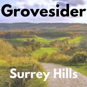Surrey Hills