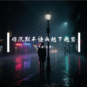 你沉默不语雨越下越密
