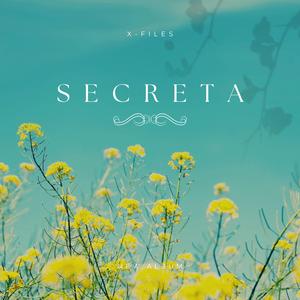 SECRETA (Radio Edit)