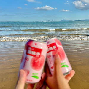 散散步就很好（To Subinur）