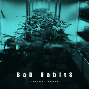 Bad Habits