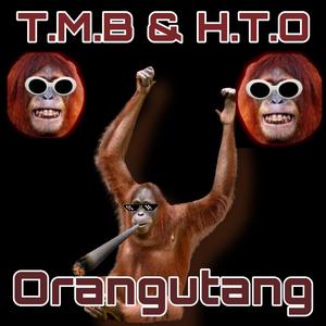 ORANGUTANG (feat. H.T.O)