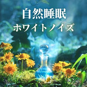 静かな朝の光景