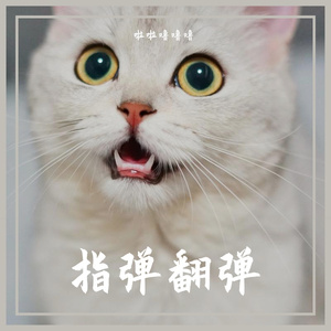 过司法考试结果或多个