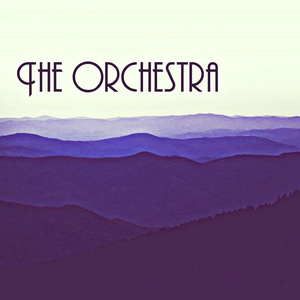 The Orchestra