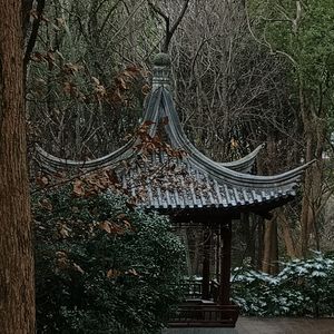 雨爱_♝酒尽（懒得看私信）_022055_track0_022055