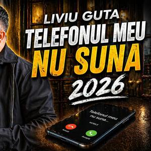 Telefonul meu nu suna