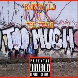 Too Much (feat. BABYMULA)