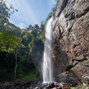 falls
