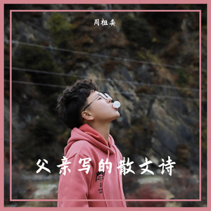 父亲写的散文诗（Cover 许飞）