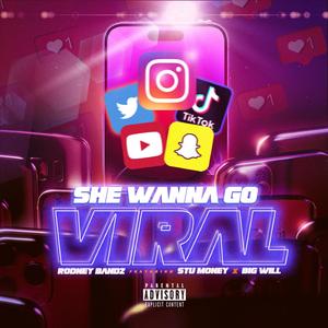 She wanna go viral (feat. Stu Money & Big Will)