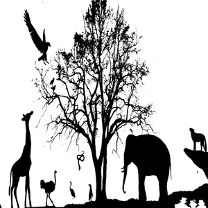 Primate (Original Mix)